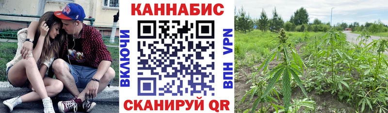 цена наркотик  Благовещенск  мега рабочий сайт  Бошки Шишки план 